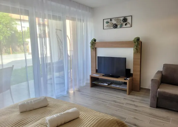 Aura Gazde/Camere de închiriat *